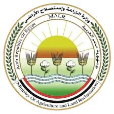 القصير : فتح أسواق جديدة أمام الصادرات الزراعية